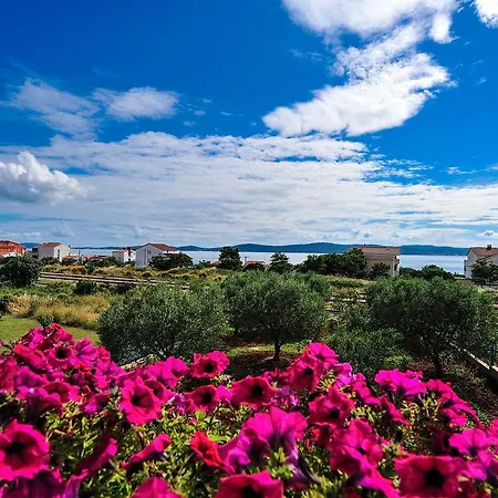 Apartament Andelka *