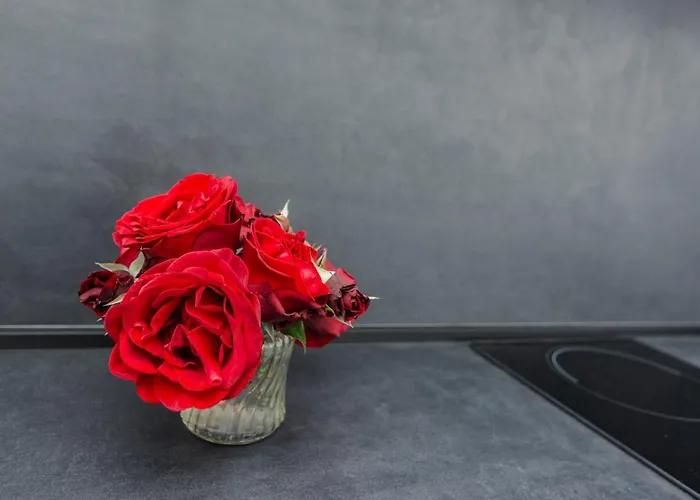 アパート Andelka