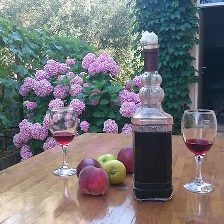 Anđelka Apartman